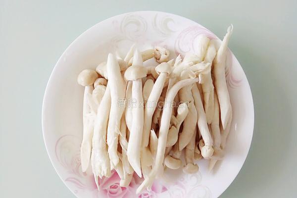 牛肉海鲜菇的做法图解1