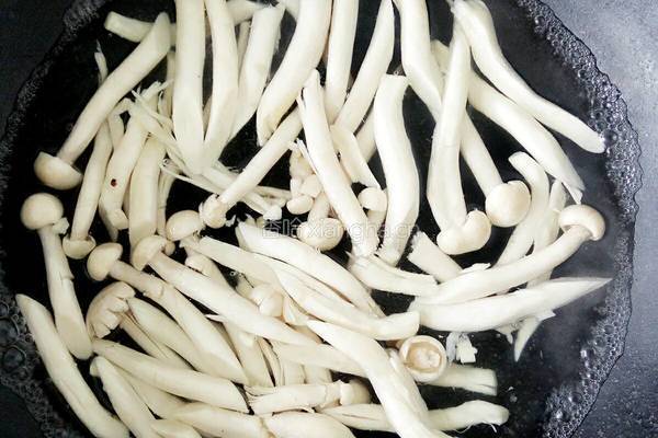牛肉海鲜菇的做法图解5