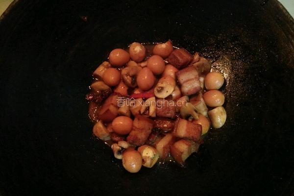口菇鹌鹑蛋烧肉的做法图解17