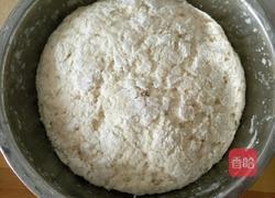 猪肉西葫芦包子的做法图解10
