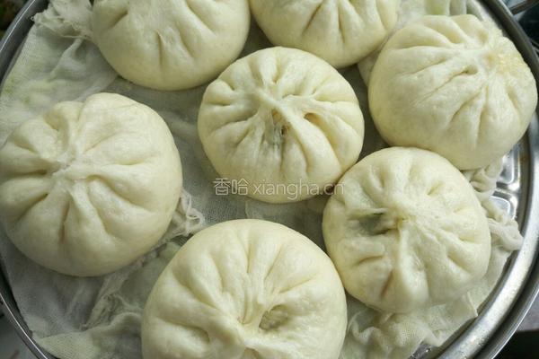 三素菜包的做法图解20