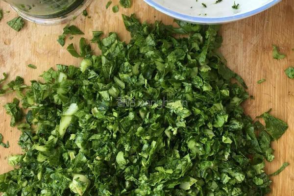 白菜水饺的做法图解1
