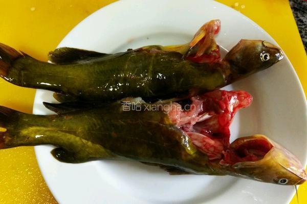 黄骨鱼豆腐汤的做法图解1