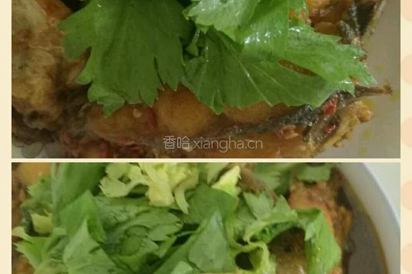 回锅鱼的做法图解1