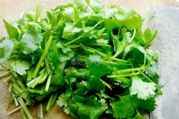 香菜炒鸡蛋的做法图解3