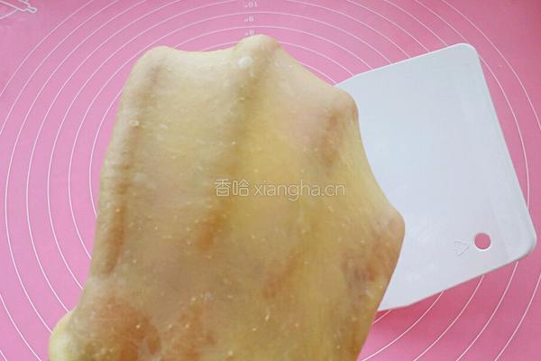 火腿奶酪小餐包的做法图解5