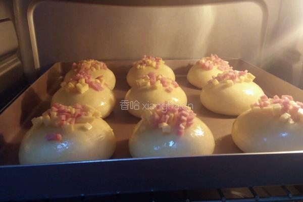 火腿奶酪小餐包的做法图解13