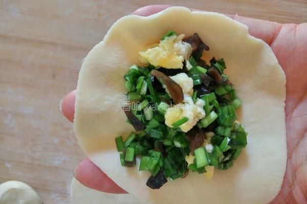 韭菜鸡蛋馅水饺的做法图解10