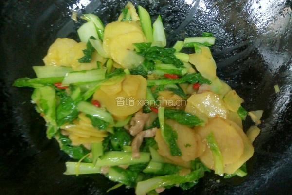 白菜土豆片的做法图解7