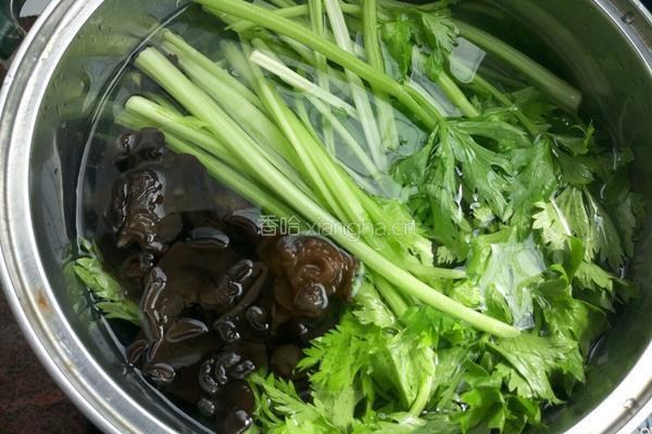 木耳芹菜包子的做法图解7