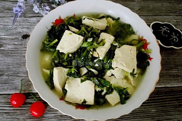 小白菜熬豆腐的做法图解7