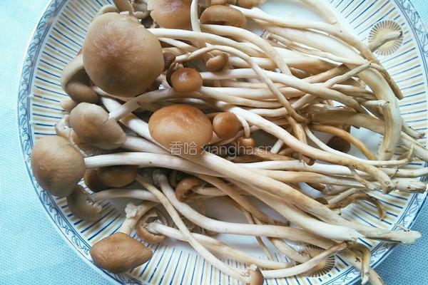 新鲜茶树菇小炒的做法图解1
