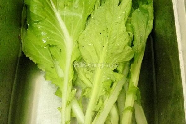虾米枸杞芥菜的做法图解2