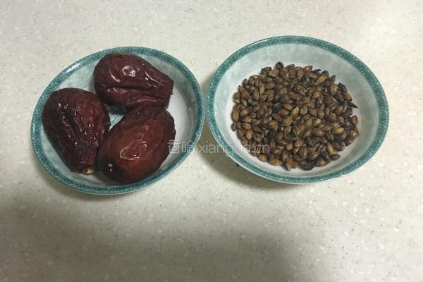 红枣大麦茶的做法图解1