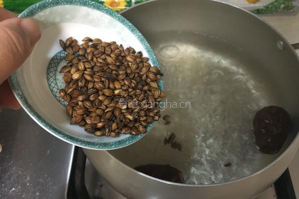 红枣大麦茶的做法图解3