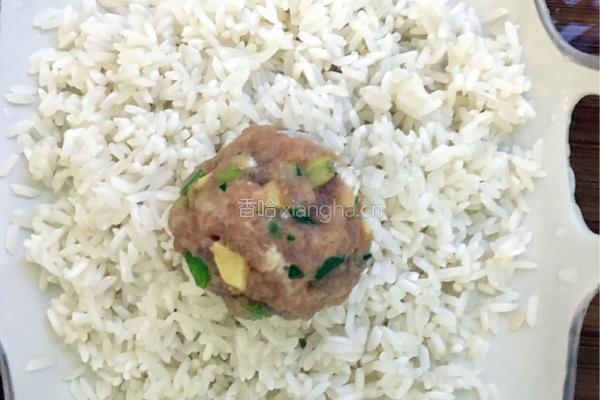 糯米肉圆子的做法图解5