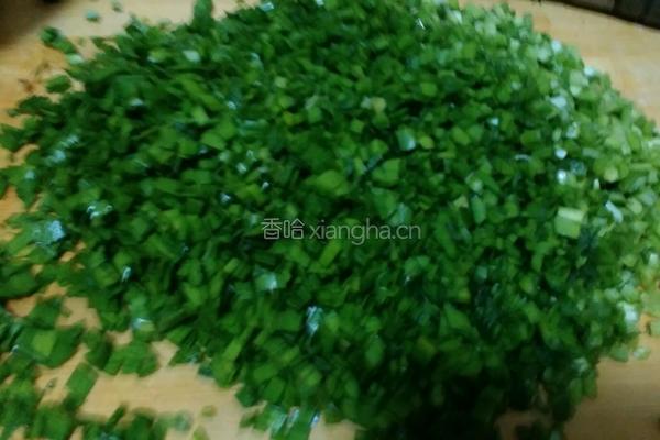 韭菜鸡蛋虾仁饺子的做法图解4