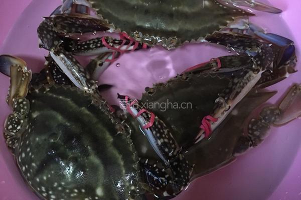 清蒸海蟹的做法图解1