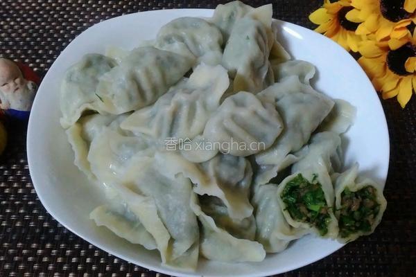 茴香猪肉饺子的做法图解11