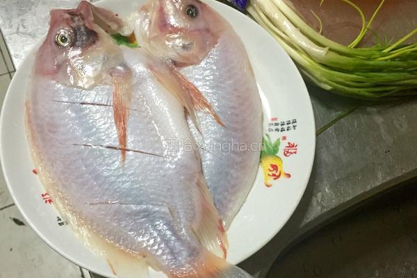 清蒸深海红斑鱼的做法图解1