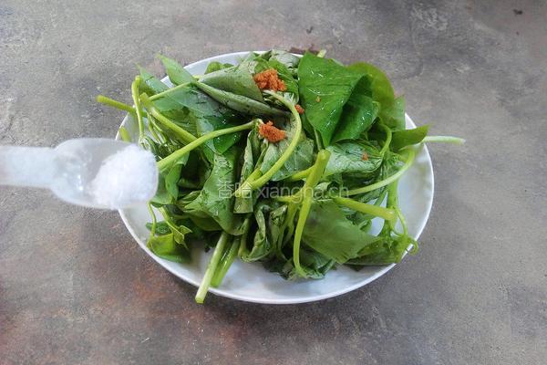 蒸地瓜叶的做法图解2