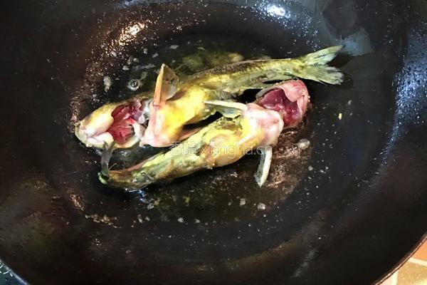黄骨鱼炖豆腐的做法图解3