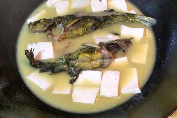 黄骨鱼炖豆腐的做法图解6