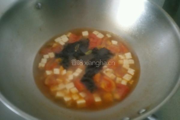 西红柿豆腐紫菜汤的做法图解6