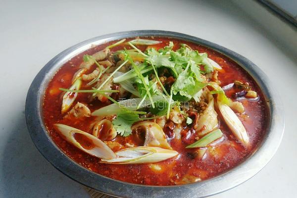 重庆水煮鱼的做法图解19