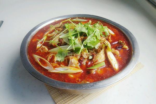重庆水煮鱼的做法图解20