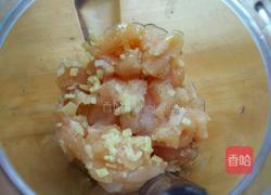 鸡肉泥的做法图解3