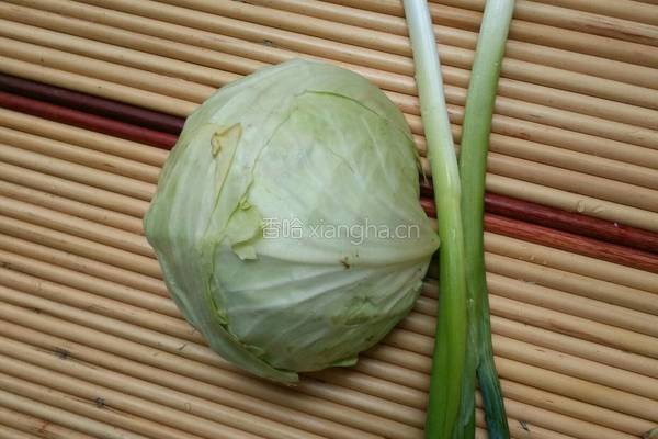 素炒洋白菜的做法图解1