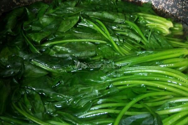 麻酱菠菜的做法图解1
