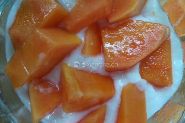 酸奶木瓜的做法图解6