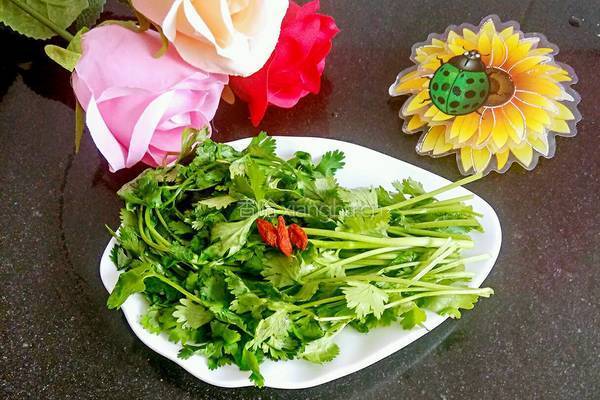 素炒香菜的做法图解5