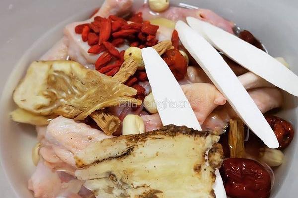 清炖鸭肉的做法图解2
