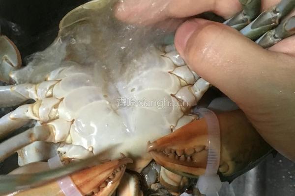 煎蟹的做法图解3