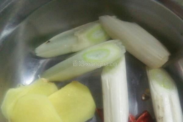 清炖鱼的做法图解4