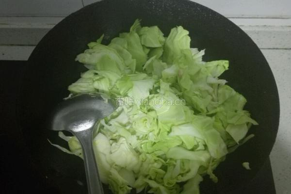 辣炒圆白菜的做法图解4