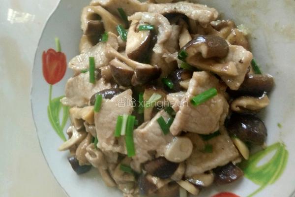 香菇炒肉片的做法图解12