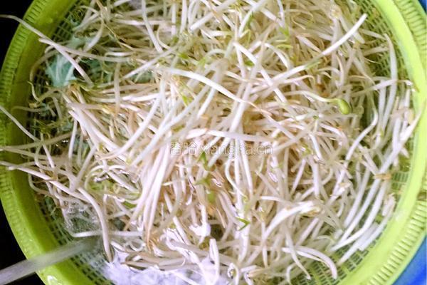 韭菜豆芽的做法图解1