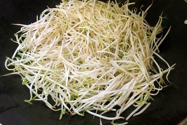 韭菜豆芽的做法图解4