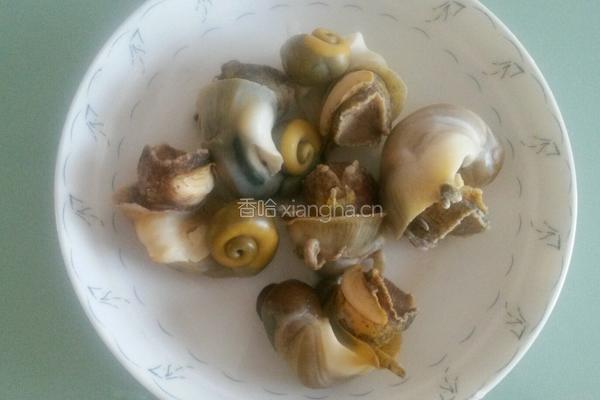 凉拌海螺的做法图解2