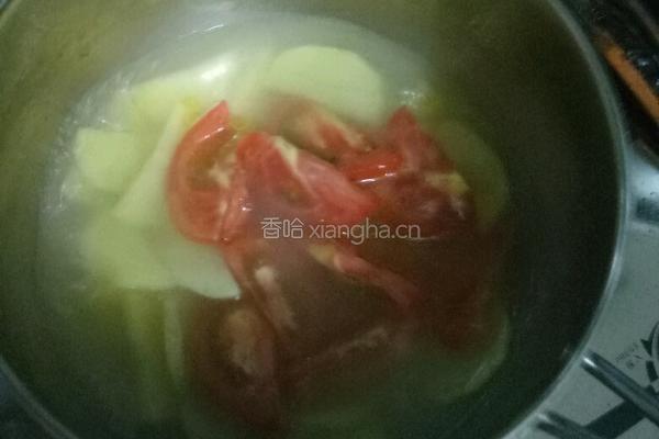 番茄土豆汤的做法图解4
