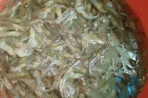 营养粥的做法图解1