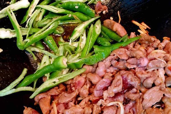 青椒小炒肉的做法图解8