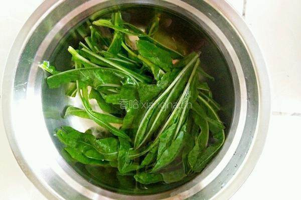 凉拌苦苦菜的做法图解3