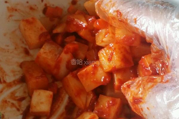 韩国泡菜萝卜的做法图解4