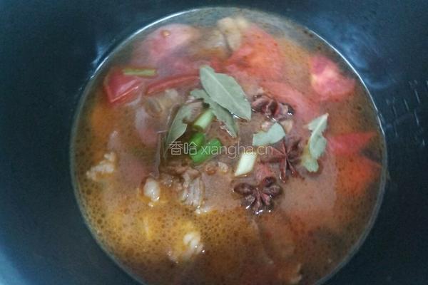 番茄牛肉的做法图解10