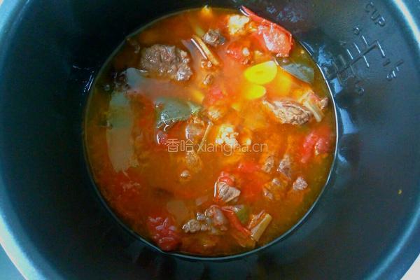 番茄牛肉的做法图解12